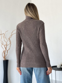 Водолазка ISSA Plus модель WN20-575_темно_бежевый Фото