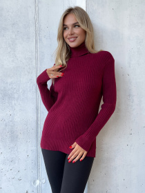 Водолазка ISSA Plus модель WN20-575_бордовый Фото