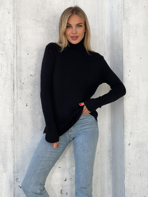 Водолазка ISSA Plus модель WN20-575_черный Фото