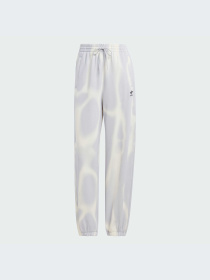 Брюки Adidas Graphics модель IU2483-KZ Фото