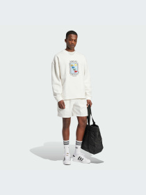 Шорты Adidas Graphics модель IX6756-KZ Фото