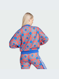Худи и свитшоты Adidas модель IQ4496-KZ Фото