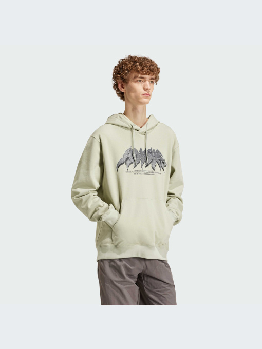 Худи и свитшоты Adidas Graphics модель IS2948-KZ Фото