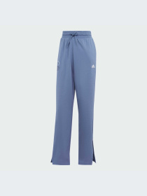 Брюки Adidas модель IS4322-KZ Фото
