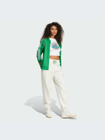 Брюки Adidas модель IX3533-KZ Фото