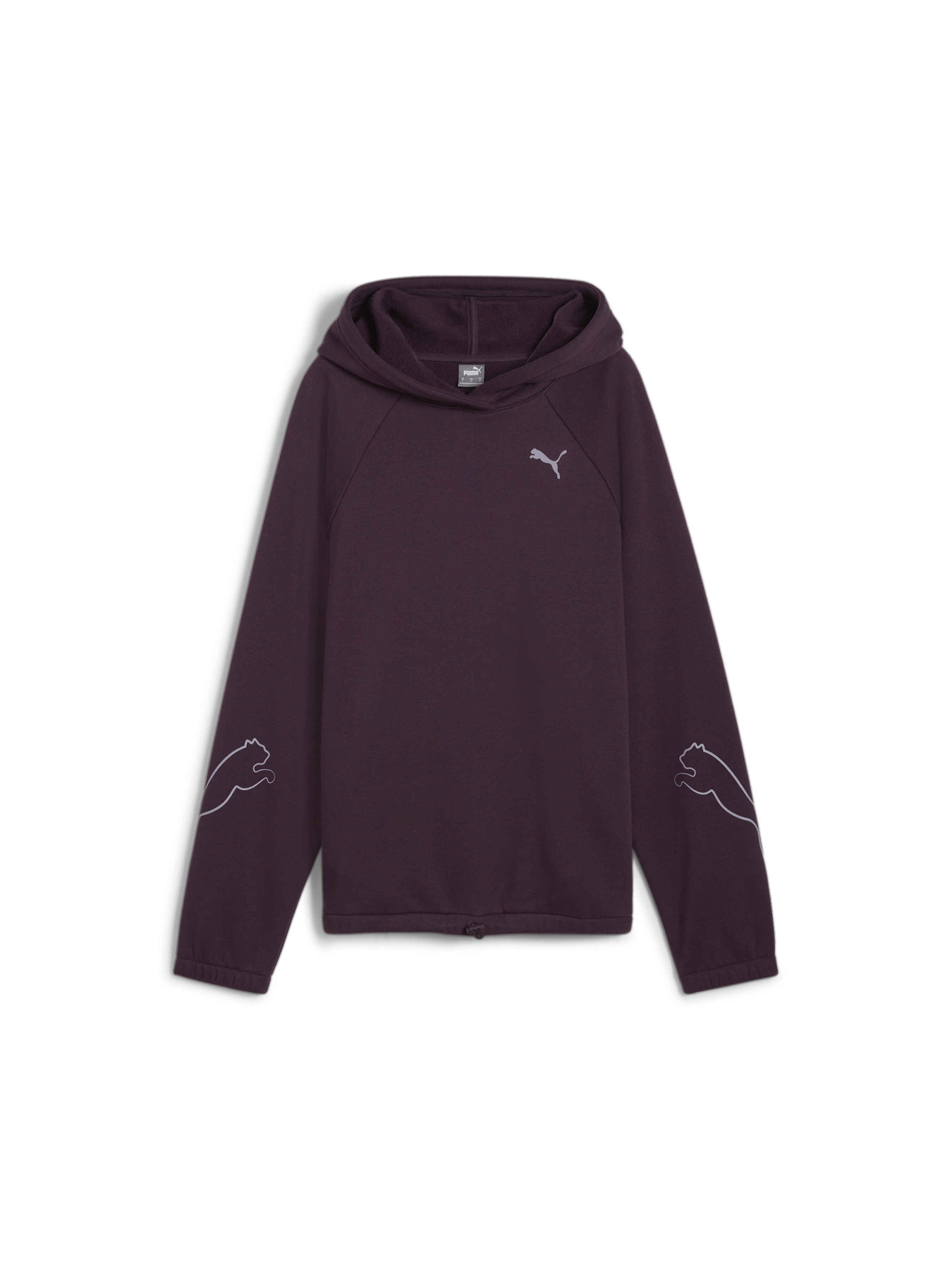 Худи PUMA Motion Hoodie Fl модель 681681 Фото