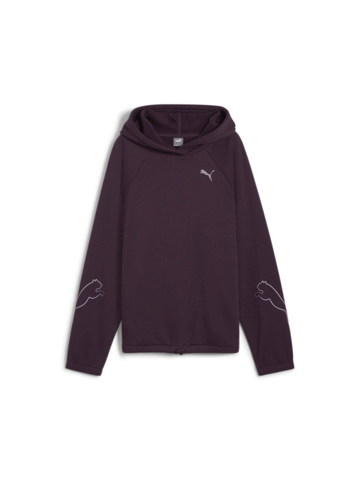 Худі PUMA Motion Hoodie Fl модель 681681 Фото