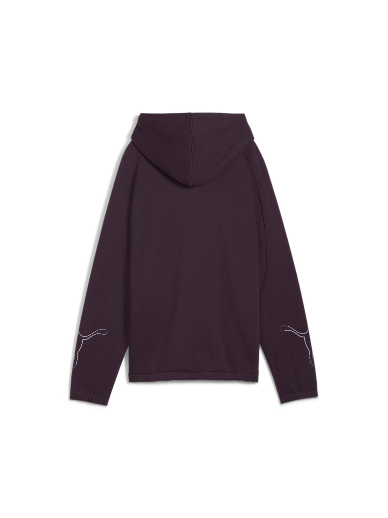 Худи и свитшоты PUMA Motion Hoodie Fl модель 681681 Фото