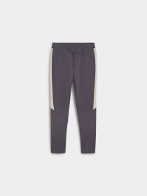 Штаны спортивные PUMA Evostripe Pants модель 681702 Фото