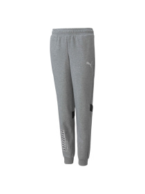 Брюки PUMA Active Sport Sweatpants модель 589207 Фото