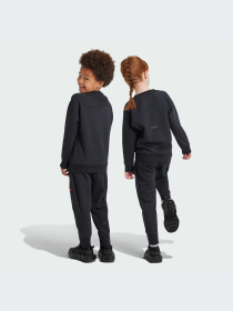 Повседневный костюм Adidas ZNE модель IV9645 Фото