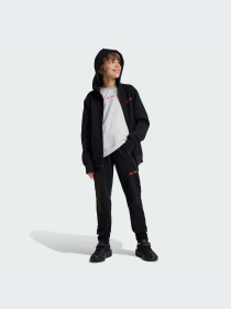 Джоггеры Adidas ZNE модель IV9632 Фото