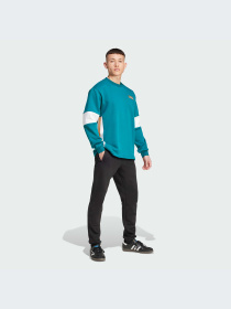 Світшот Adidas Adicolor модель IW5813 Фото