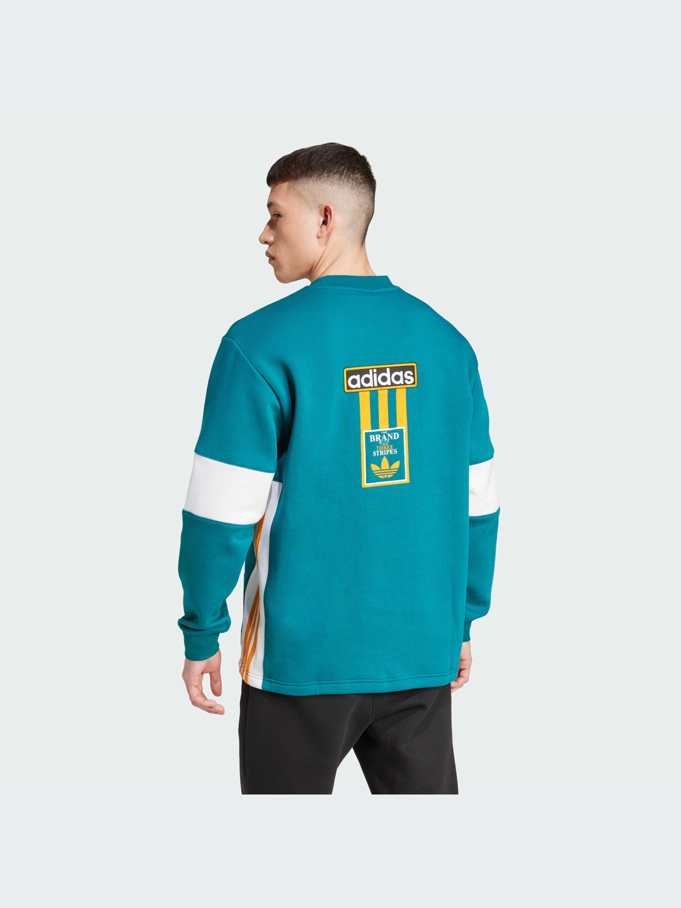 Світшот Adidas Adicolor модель IW5813 Фото