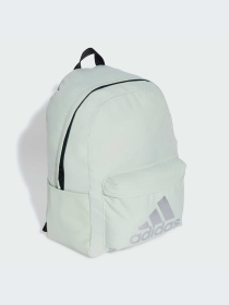 Рюкзак Adidas модель IX7988 Фото