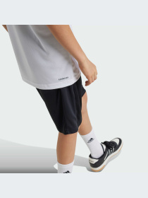 Спортивна футболка Adidas Clima модель IW0853 Спортивна футболка Adidas Clima модель IW0853 Фото