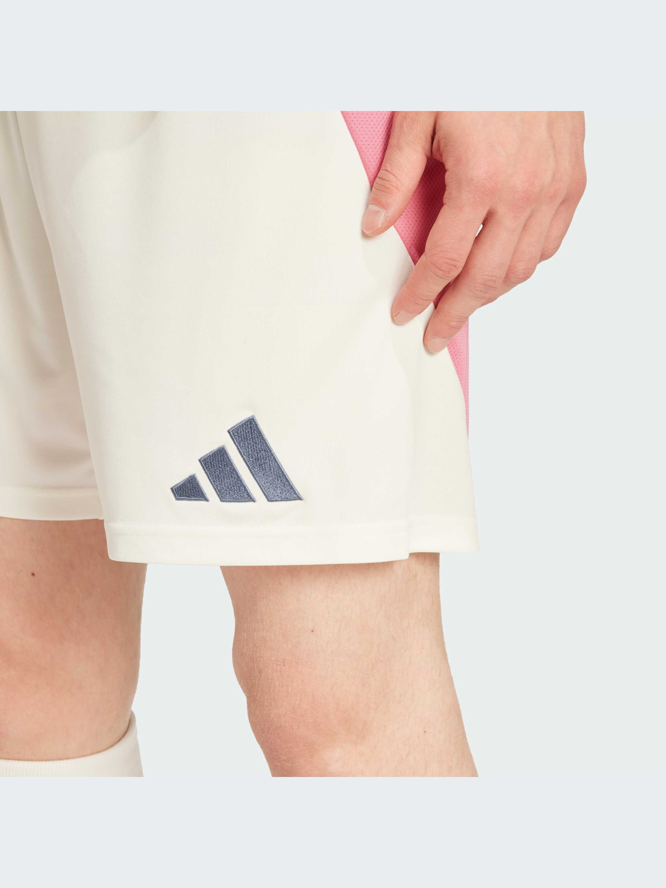 Шорти спортивні Adidas модель IS7998 Фото