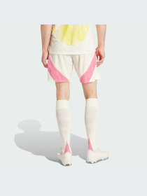 Спортивні шорти Adidas модель IS7998 Фото