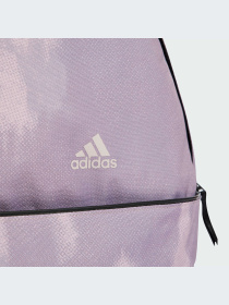 Рюкзак Adidas модель IX6801 Фото