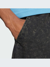 Шорты Adidas Graphics модель IZ2548 Фото