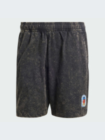 Шорты Adidas Graphics модель IZ2548 Фото