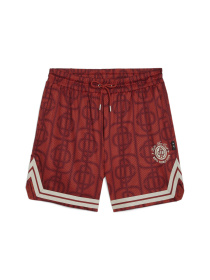 Шорты спортивные PUMA x Ptc Aop Mesh Shorts модель 627440 Фото