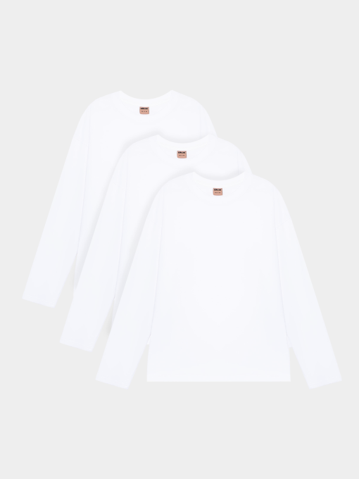 Набір лонгслівів Ейсік Оверсайз модель LonhslivBilyi3Sht Фото