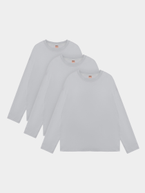 Набір лонгслівів Ейсік Оверсайз модель LonhslivSvitlosiryi3Sht Фото