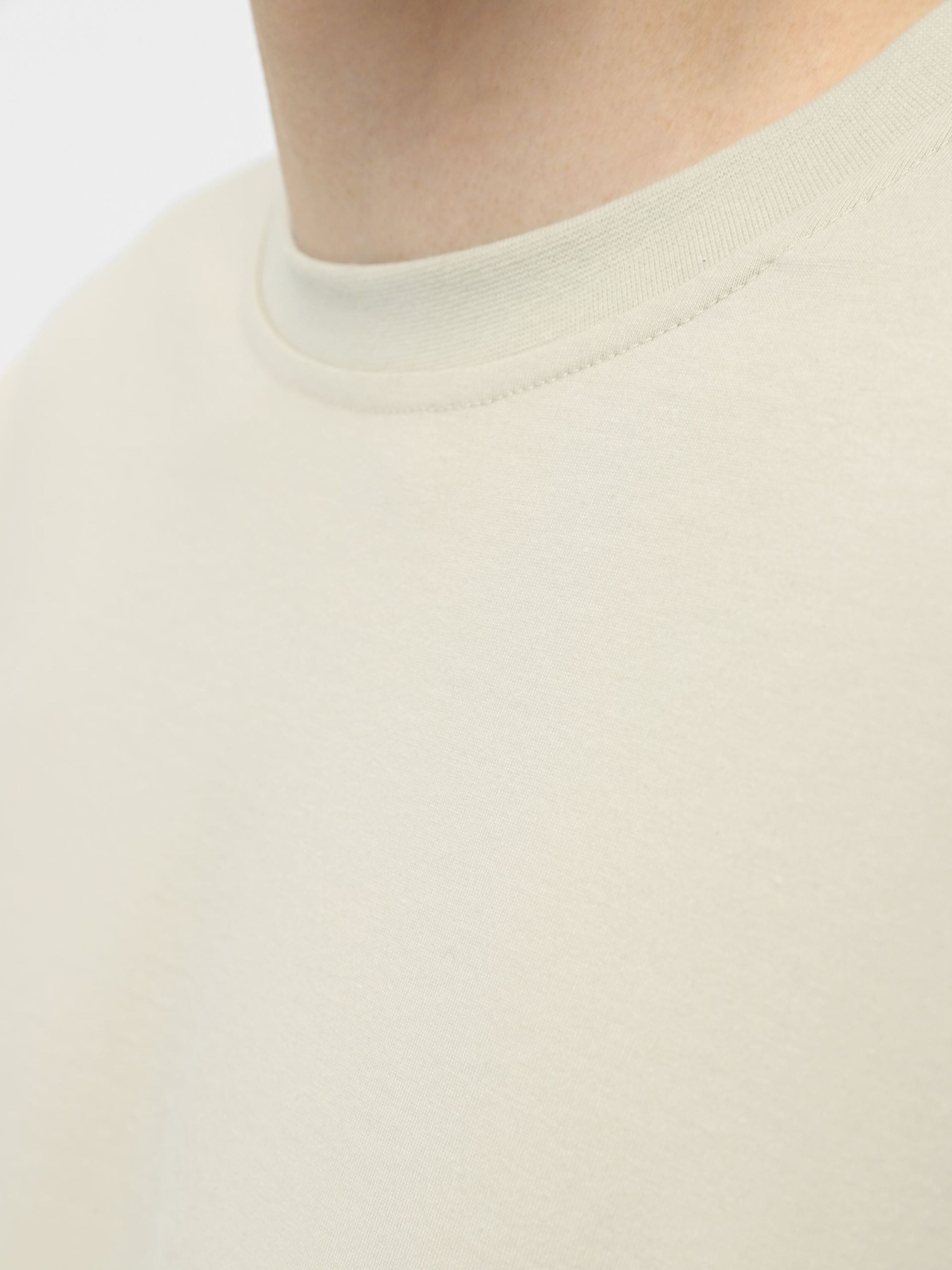 Лонгслів Ейсік Оверсайз модель LonhslivBezhevi Фото