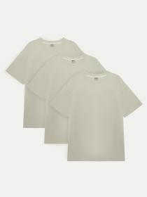 Набор футболок Ейсік Оверсайз модель NabirBezhevyi3Sht Фото