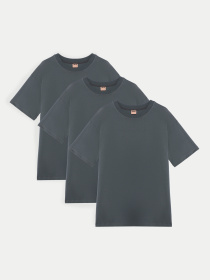 Набір футболок Ейсік Оверсайз модель NabirTemnoSiryi3Sht Фото