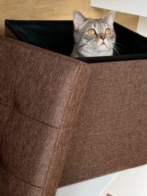 Пуф для хранения текстильный коричневый MBM MY HOME модель TH-03 BROWN Фото