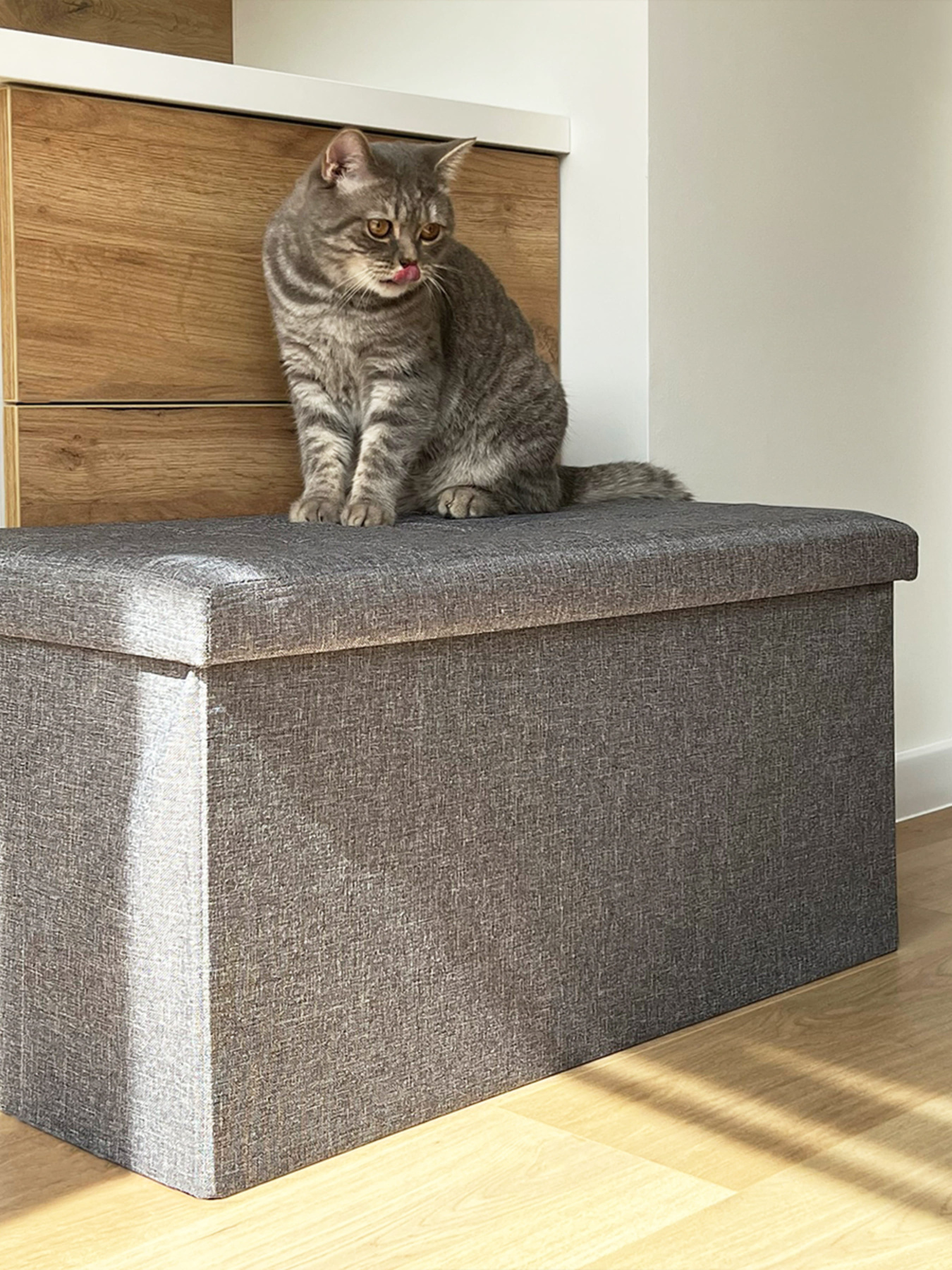 Пуф для хранения текстильный серый MBM HOME модель TH-04 GRAY Фото