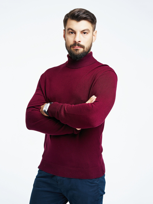 Водолазка SVTR модель 213burgundyTTNSVTR Фото