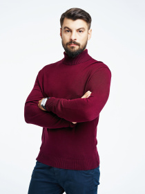 Водолазка SVTR модель 213burgundyTTNSVTR Фото