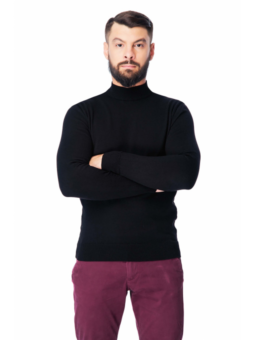 Водолазка SVTR модель 212blackTTNSVTR Фото