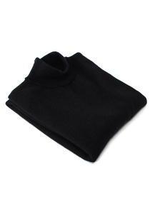 Водолазка SVTR модель 212blackTTNSVTR Фото