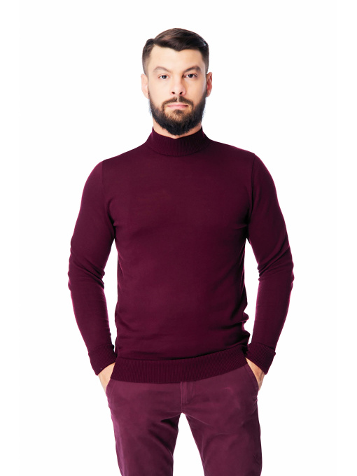 Водолазка SVTR модель 212burgundyTTNSVTR Фото