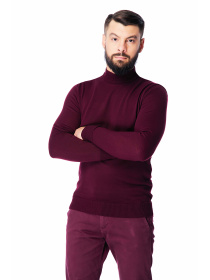 Водолазка SVTR модель 212burgundyTTNSVTR Фото