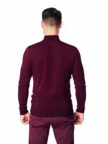 Водолазка SVTR модель 212burgundyTTNSVTR Фото