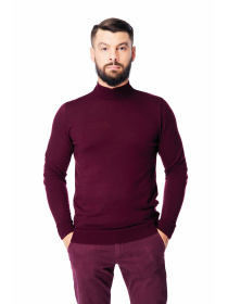 Водолазка SVTR модель 212burgundyTTNSVTR Фото