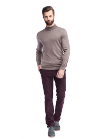 Водолазка SVTR модель 212cappuccinoTTNSVTR Фото