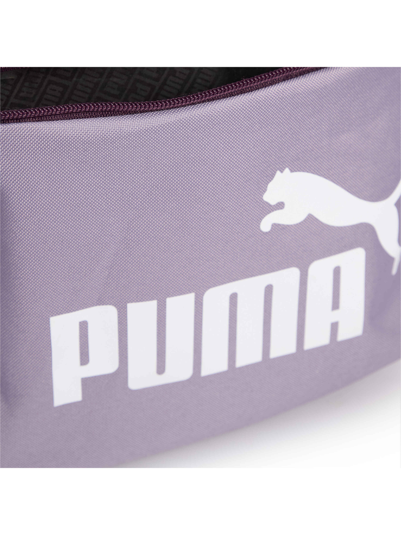 Рюкзак PUMA Phase Hooded Backpack модель 090801 Фото