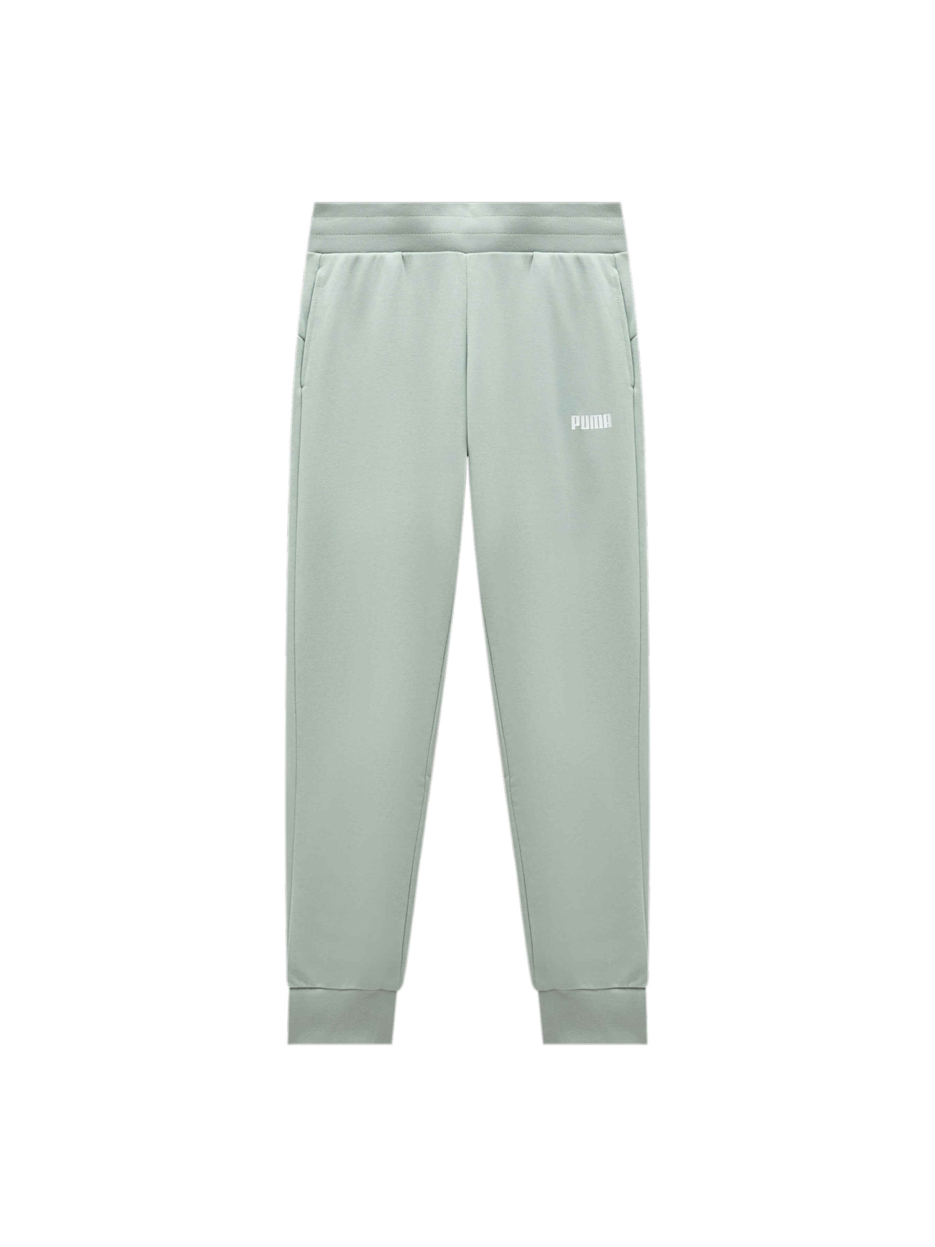 Спортивні штани PUMA Ess Sweat Pants Closed Tr W модель 847204 Фото