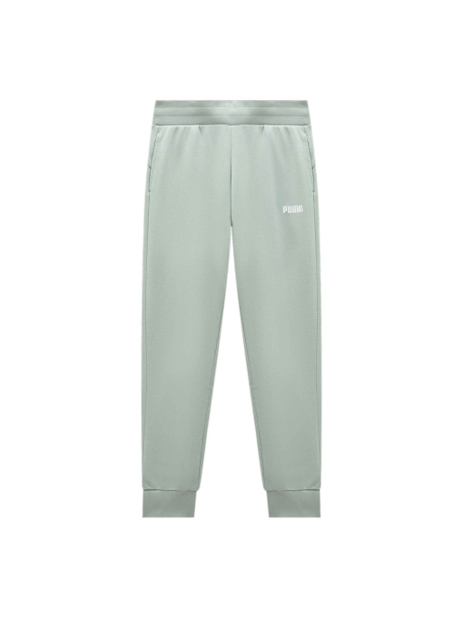 Штаны спортивные PUMA Ess Sweat Pants Closed Tr W модель 847204 Фото