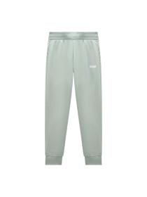 Спортивні штани PUMA Ess Sweat Pants Closed Tr W модель 847204 Фото