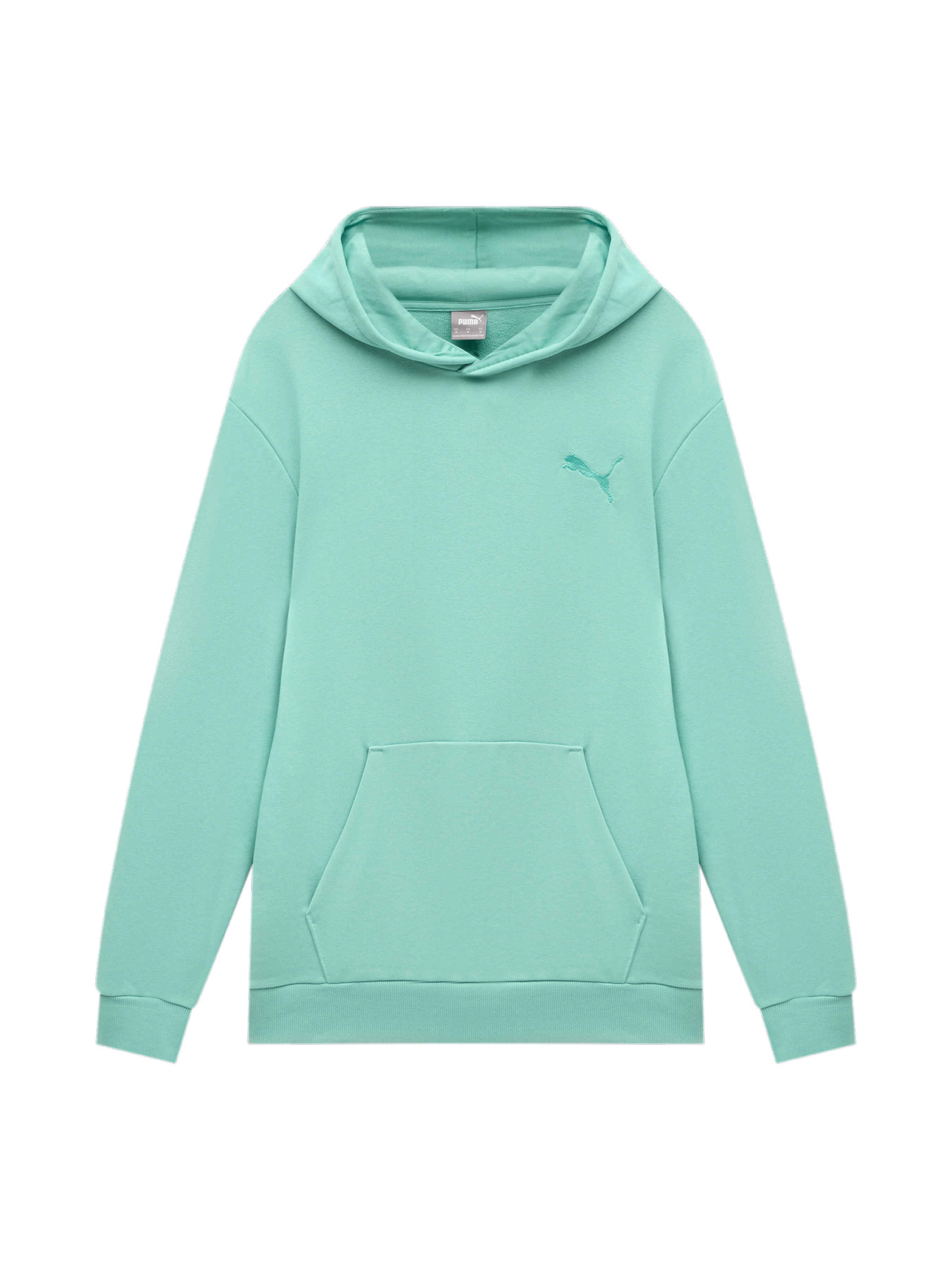 Худи и свитшоты PUMA Elevated Hoodie Ft M модель 677210 Фото
