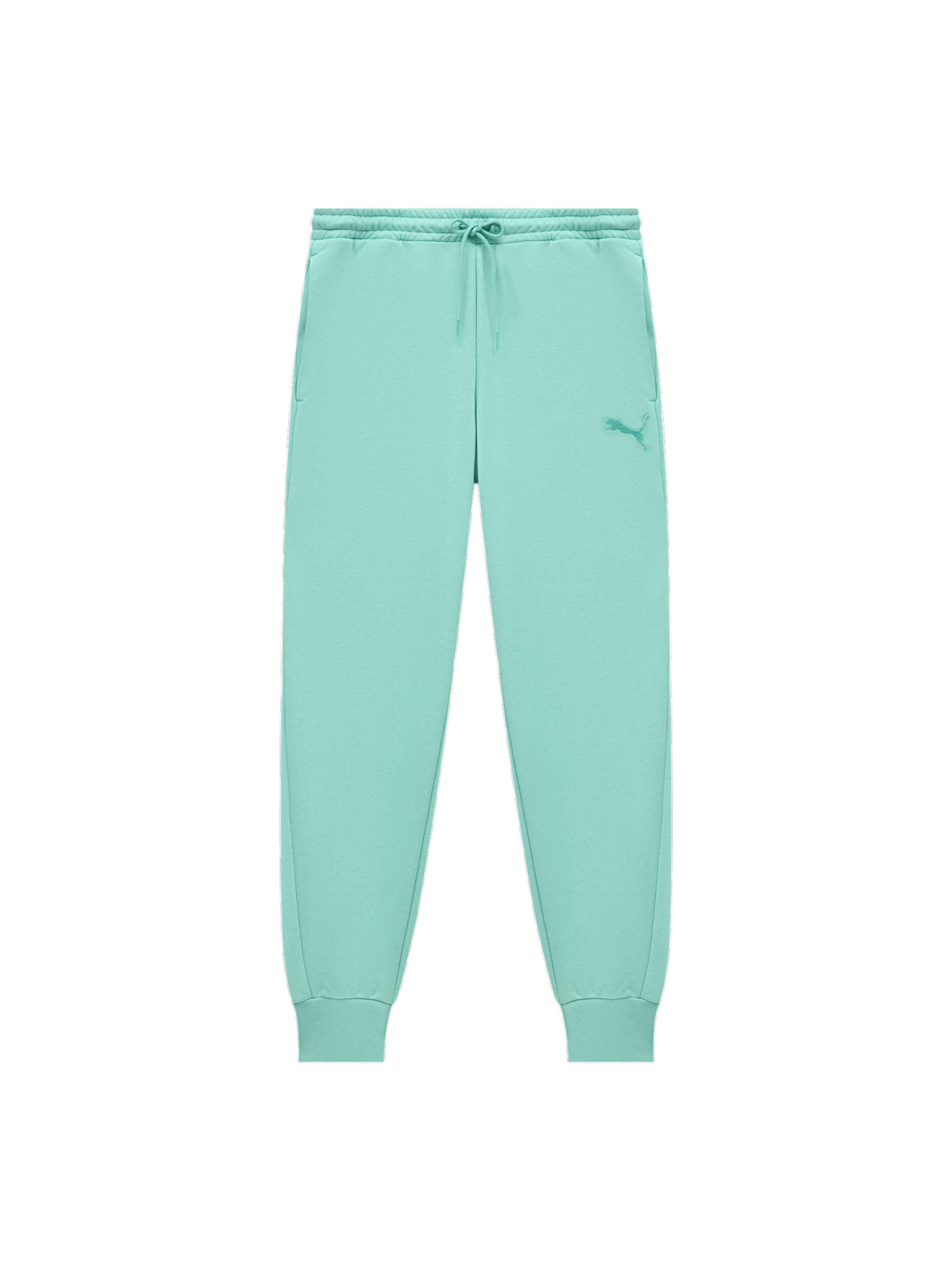 Штаны спортивные PUMA Elevated Sweat Pants Tr M модель 677221 Фото
