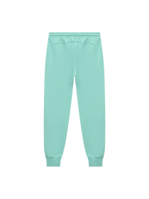 Штаны спортивные PUMA Elevated Sweat Pants Tr M модель 677221 Фото