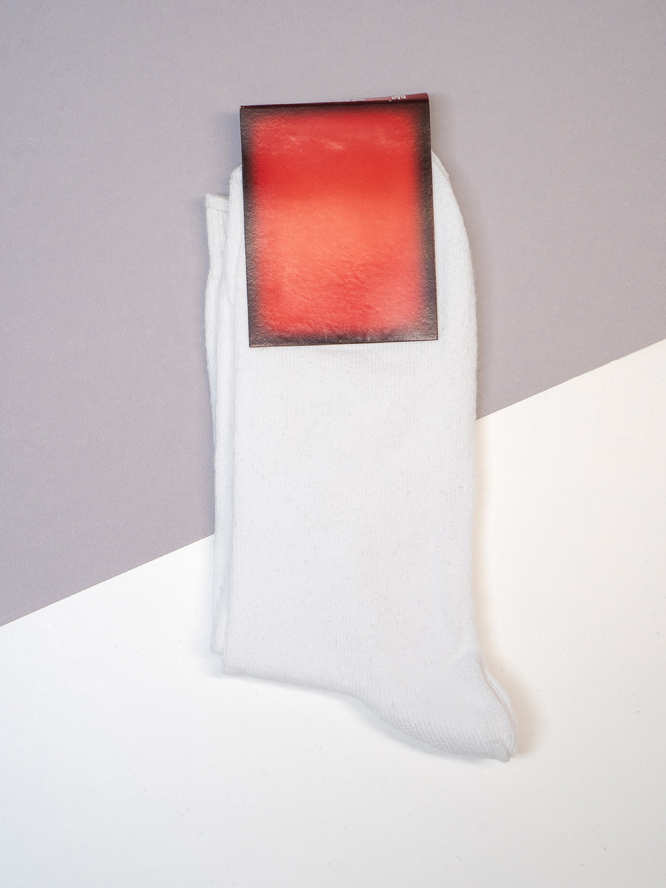 Носки ISSA Plus модель NS-384_белый Фото